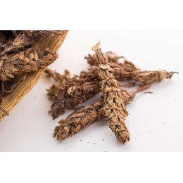 夏枯草的功效与作用及食用方法 